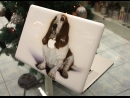 Аэрографическая роспись ноутбука MacBook Pro